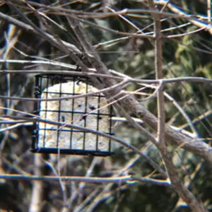 Mangeoire à oiseaux carrée en métal avec chaîne de suspension, mangeoire extérieure durable pour colibris, petite taille TJ 006 - Product Image 2