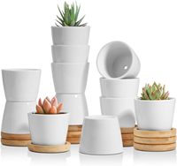 Petit plateau en bambou avec pots de fleurs pour plantes à air succulentes en céramique blanche pour conteneurs de faux cactus de jardin