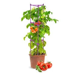 4 Sizes Metal Plant <b>Trellis</b> for Climbing Plants - Durable PE Coated Rust-Proof Garden Support, Tool-Free Assembly <b>Flower</b> Stand - Product Image 3