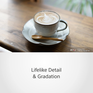 โซนี่ FE 50 มม. f/1.8 (<span class=keywords><strong>SEL50F18F</strong></span>) - Product Image 6