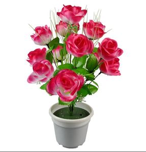 <span class=keywords><strong>Maceta</strong></span> de Plástico YongHo para Suculentas con Bandeja, <span class=keywords><strong>Maceta</strong></span> Redonda de Doble Capa para Plantas Pequeñas, Ideal para Oficina - Product Image 2