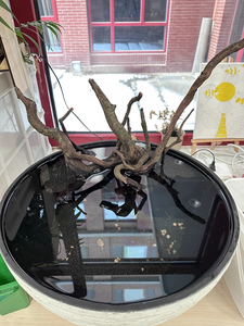 <span class=keywords><strong>Piedra</strong></span> <span class=keywords><strong>de</strong></span> imitación <span class=keywords><strong>de</strong></span> gran diámetro, maceta <span class=keywords><strong>de</strong></span> plástico para bonsái, <span class=keywords><strong>macetas</strong></span>, cuenco grande, maceta <span class=keywords><strong>de</strong></span> flor <span class=keywords><strong>de</strong></span> LOTO - Product Image 5