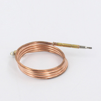 Kit de thermocouple universel pour foyer au gaz pour BBQ Grill Fire Pit Heater Thermocouple