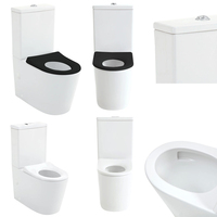 Toilettes pour personnes handicapées, WC ambulants, équipements sanitaires en céramique, toilettes pour handicapés, bidets, toilettes commerciales, sanitaires pour l'hôtellerie
