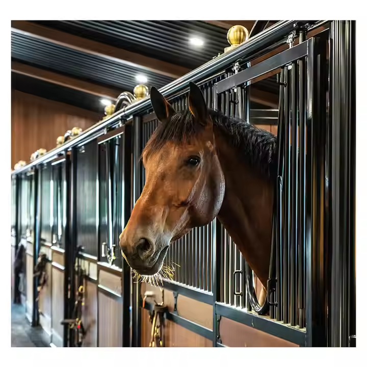 Outdoor Horse Stable Steel Horse Stall