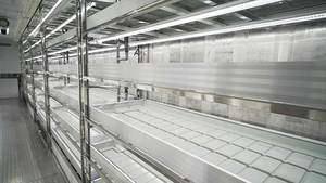 365 giorni 20ft zafferano contenitore di allevamento isolato Container di spedizione idroponico sistema di agricoltura verticale zafferano - Product Image 5