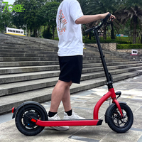 Trottinette Électrique Pliable de 12 Pouces, 500W, 48V, 50Km, Longue Portée, Vitesse Rapide, Molibilty