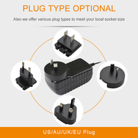 Adaptateur secteur AC/DC interchangeable 6V/12V/24V 1A, norme DOE niveau VI, prises US, EU, UK, AU, DC 5.5*2.1mm, CE, FCC, RoHS, OEM disponible