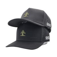 Casquettes de golf respirantes imperméables à séchage rapide de haute qualité avec logo brodé 3D à 5 panneaux, casquettes de sport à cordon, casquettes de baseball