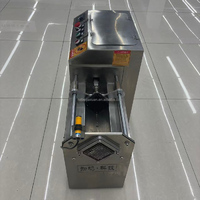 Commerciële automatische groentestrip snijmachine komkommer aubergine radijs stokjes snijder friet voor voedselverwerking