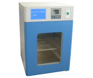 Electrothermal Stable Temperature Incubator Lab Medical Biological Constant Temperature Incubator DNP-9025