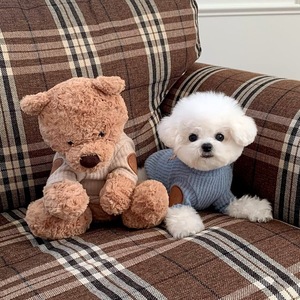 Gilet pour animaux de compagnie à motif d'ours pour l'automne/hiver, pour Teddy, Bichon, Pomeranian, <span class=keywords><strong>Yorkshire</strong></span> Terrier, Poodle, petits chiens, tricoté - Product Image 3