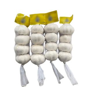 Ajo Fresco para África, Ail Frais Pour L'Afrique Australe, Tarifas Competitivas y Envío Rápido - Product Image 2