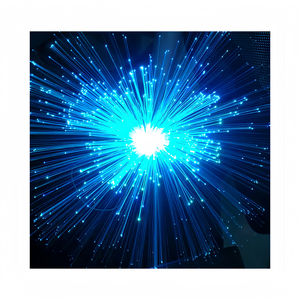 Lumière optique de fibre de la vente chaude 0.75mm PMMA pour la pièce de <span class=keywords><strong>plafond</strong></span> d'étoile de ciel <span class=keywords><strong>étoilé</strong></span> - Product Image 1