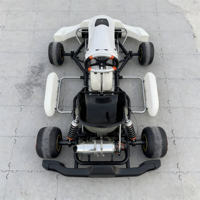 Go Karts Profesionales de 7ª Generación con Motor de Gasolina de 4 Tiempos, Personalizados OEM, Frenos de Disco Hidráulicos para Exteriores, Transmisión por Engranajes, Capacidad de Carga de 200 kg