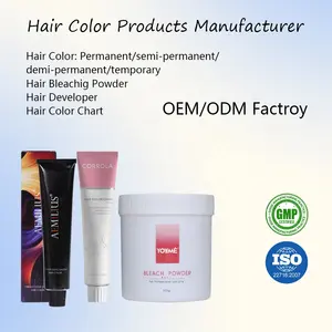 Factory OEM Best Coloring Hair Color Cream Low Ammonia Salon Permanent Hair Dye