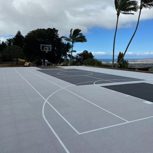 Patio trasero al aire libre cancha multideportiva con cancha de baloncesto pintada y cancha de pickleball líneas de dimensión baldosas - Product Image 5