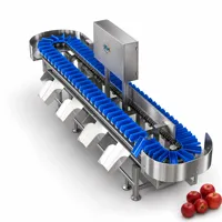 Robuuste 300KG fruit- en groentesorteermachine voor langdurige continue commerciële productie.
