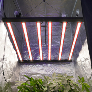 Barra LED per Coltivazione Idroponica a Spettro Completo 720W per Serra Commerciale Lucius - Produzione Piante - Product Image 5