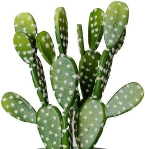 Cactus artificiale di fico d'india per l'ufficio dell'interno della decorazione domestica - Product Image 2