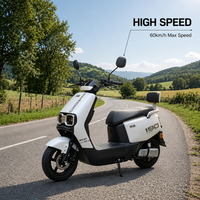 Trottinette Électrique Commuter Haute Performance 200kg, Moteur 1000W, 60V, Vitesse Max 60km/h, Frein à Disque Avant et Tambour Arrière, Trottinette Électrique Adulte, Vente en Gros