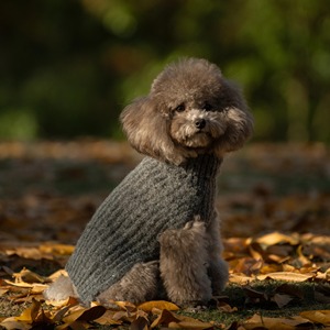 Cozy <span class=keywords><strong>Pet</strong></span> Vestuário Camisola simples do cão do estilo Turtleneck Design térmico Elastic Fit Snug Envoltório Mohair Spray Fio Algodão resistente - Product Image 3