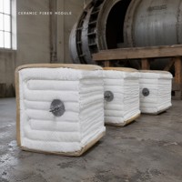 Module en fibre céramique pour four à poutre de refusion, bloc d'isolation réfractaire ignifuge 1430°C, revêtement de doublure, taille personnalisable, blanc