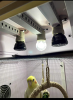Lampe chauffante infrarouge en céramique E27 pour reptiles, tortues, lézards, terrariums et couveuses