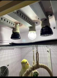 Émetteurs Céramiques Infrarouges Noirs Haute Performance E27 pour Lampes Chauffantes de Reptiles 25W/50W/75W/100W - Product Image 6