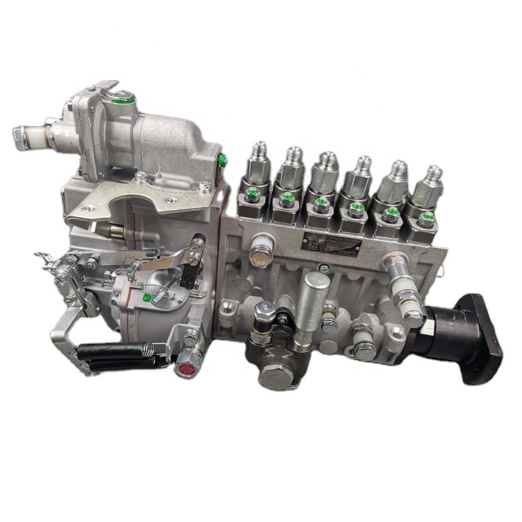 612601080225 BHP6PNQ110R Fuel Injection Pump - Original WEICHAI