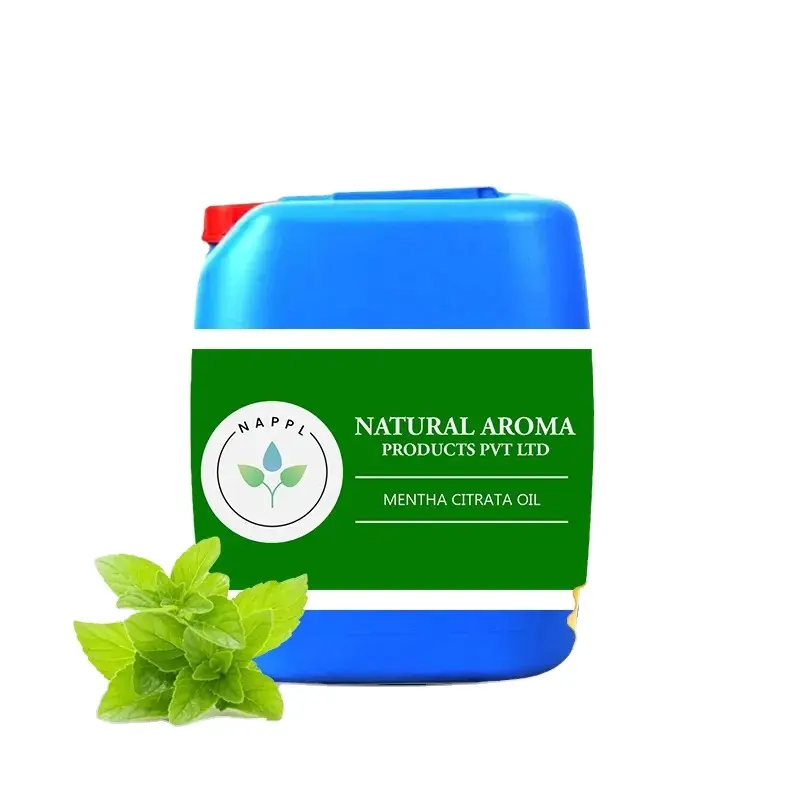 Top-Grad Premium-Qualität reines natürliches Mentha Citrata Ätherisches Öl gut für Haut aus Indien Export