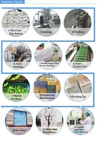Approvisionnement d'usine de haute qualité gomme arabe de qualité alimentaire Offre Spéciale poudre de gomme arabe Cas 9000-01-5 prix de gros
