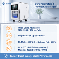 Machine à hydrogène et oxygène 1200 ml/min pour usage domestique, YISHENGRUI, adaptateurs de prise standard internationaux offerts, livraison en 20 jours
