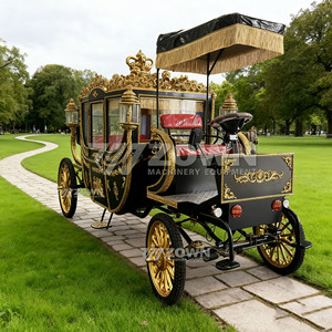 Chariot photo de mariage extérieur électrique noir mat doré, avec toit à franges, pneus antidérapants et alimentation au lithium - Product Image 2