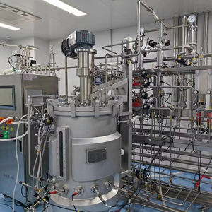 Réservoir de fermentation de bioréacteur de cellules d'agitation mécanique en acier inoxydable de haute qualité 150L BLBIO 150SJC pour laboratoire - Product Image 2