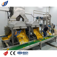 Complete installaties voor de verwerking van ananassap, inclusief sapverwerkingslijn en drankenproductie met fruit-sap pasteurisator.
