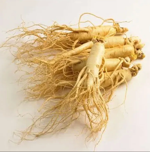 Оптовый порошок экстракта дикого американского женьшеня высокой чистоты 80%, настраиваемый, пищевой, в бочках для продуктов питания - Product Image 1