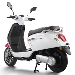 Scooter eléctrico popular 800W al por mayor de 2 ruedas para adultos de alto rendimiento