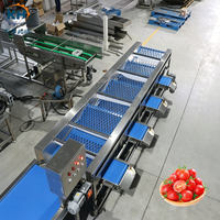 Máquina Clasificadora de Frutas y Verduras Azul Marca KEHONG 40001100900, Dimensiones 200KG de Peso