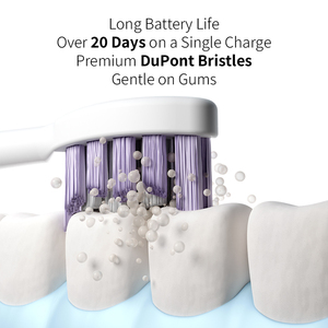 Cepillo de dientes eléctrico recargable de material Suministro de fábrica Cepillo de dientes sónico de color personalizado para higiene dental personal - Product Image 4