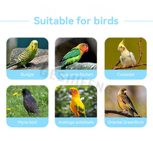 Accessoire pour oiseaux Vente en gros 60*27*40cm Perroquet Pigeon Élevage Fil de fer Cages à oiseaux personnalisées - Product Image 2