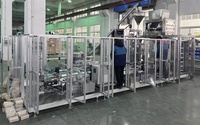 Machine d'emballage VFFS sous vide de poudre et de granulés en forme de brique entièrement automatique