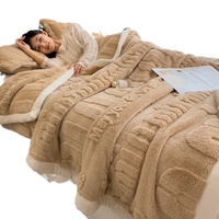 Neue Winter-Fleece-Decke, dick gefüttert, einfarbig, nordischer Stil, für Schlafsaal und Sofa, kleine Größe, Polyesterfaser, Großhandel, Export