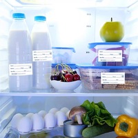 Rouleau d'étiquettes adhésives imperméables amovibles pour congélateur, papier inscriptible de qualité alimentaire pour cuisine et restaurant