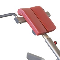 ASM-E1033 Chaise romaine de qualité supérieure pour entraînement, banc de gym, banc abdominal, machine d'extension dorsale – Vente en gros