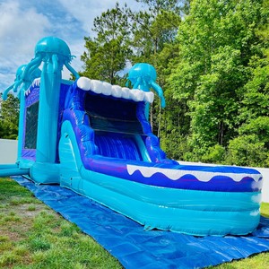 Castillo Inflable, Brincolín Inflable, Casa de Brinco Inflable Comercial, Castillo Inflable de Medusas - Product Image 3