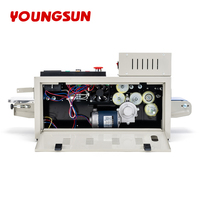 Machine de cachetage d'impression à jet d'encre de code à barres de scellant de bande continue industrielle de YOUNGSUN pour le sac en plastique de papier d'aluminium