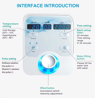 Dispositivo Profesional 3 en 1 Dcool de Electroporación y Enfriamiento de la Piel para Rejuvenecimiento Facial, Lifting y Antienvejecimiento