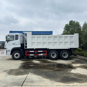 Nuevo Camión Ligero Diésel para Minería 6x4, Volquete de <span class=keywords><strong>20</strong></span> Toneladas, Volante a la Izquierda, Euro 3, <span class=keywords><strong>150</strong></span>-250HP, Transmisión Manual de 8 Velocidades, Aire Acondicionado, Cámara Trasera para - Product Image 4