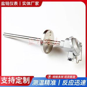 Saltming Flange Type Thermocouple K Type Stainless Steel Customizable Temperature Sensor - Product Image 5